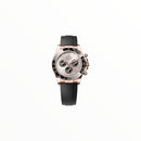 Rolex Daytona Sundust With Everose Gold Dial
